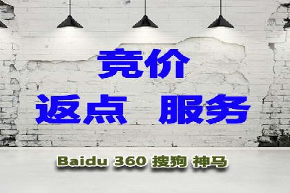 Sem优化公司案例：精准广告投放策略解析